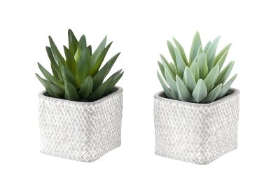 ARTIFICIAL PLANT - 2PCS / 8"H SUCCULENT IN 5" CEMENT POT
