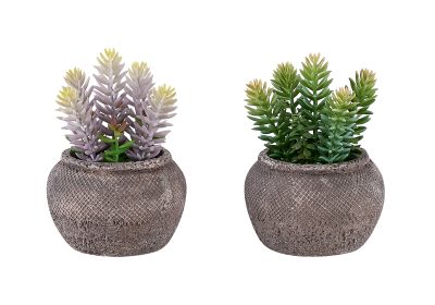 ARTIFICIAL PLANT - 2PCS / 8"H SUCCULENT IN 6" CEMENT POT