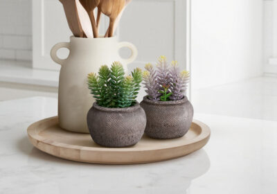 ARTIFICIAL PLANT - 2PCS / 8"H SUCCULENT IN 6" CEMENT POT