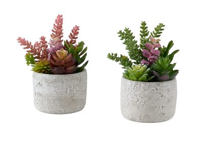 ARTIFICIAL PLANT - 2PCS / 9"H SUCCULENT IN 5" CEMENT POT