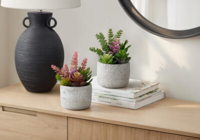 ARTIFICIAL PLANT - 2PCS / 9"H SUCCULENT IN 5" CEMENT POT