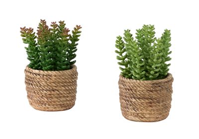 ARTIFICIAL PLANT - 2PCS / 7"H SUCCULENT IN 4" CEMENT POT