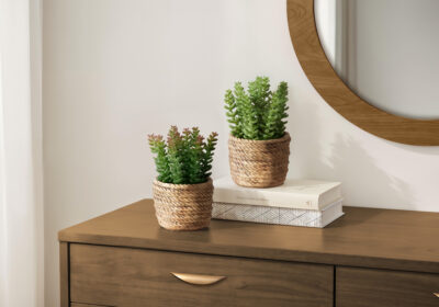 ARTIFICIAL PLANT - 2PCS / 7"H SUCCULENT IN 4" CEMENT POT