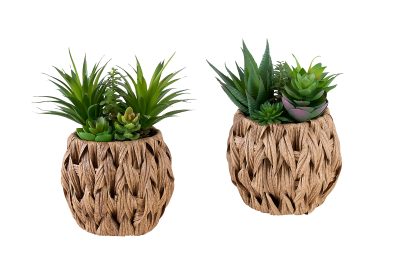 ARTIFICIAL PLANT - 2PCS / 9"H SUCCULENT IN 6" WOVEN POT