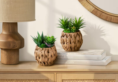 ARTIFICIAL PLANT - 2PCS / 9"H SUCCULENT IN 6" WOVEN POT