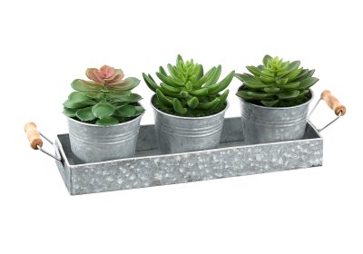 ARTIFICIAL PLANT - 3PCS / 6"H SUCCULENT IRON POT/ METAL TRAY