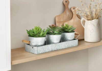 ARTIFICIAL PLANT - 3PCS / 6"H SUCCULENT IRON POT/ METAL TRAY