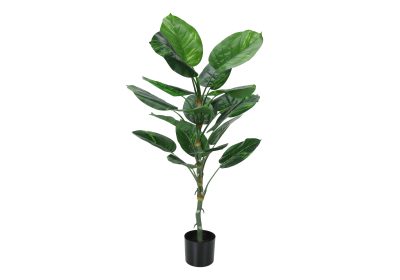ARTIFICIAL PLANT - 54"H / INDOOR DIEFFENBACHIA / 6" POT