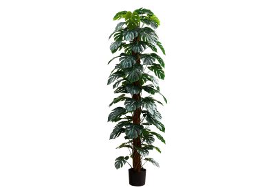 ARTIFICIAL PLANT - 83"H / INDOOR MONSTERA TREE / 8" POT