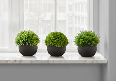 ARTIFICIAL PLANT - 3PCS / 5"H GRASS IN A 3" BLACK POT