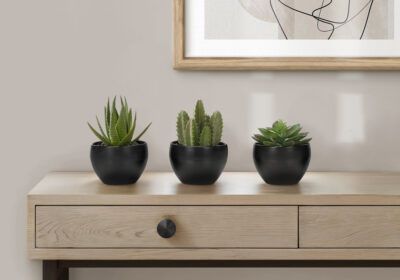 ARTIFICIAL PLANT - 3PCS / 6"H SUCCULENT IN A 3" BLACK POT