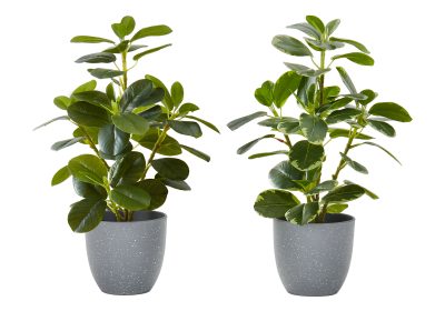 ARTIFICIAL PLANT - 2PCS / 14"H FICUS ELASTICA / 4" POT