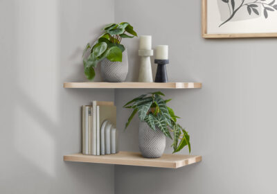 ARTIFICIAL PLANT - 2PCS / 8"H ALOCASIA / 5" CEMENT POT