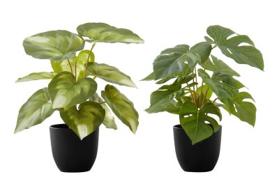 ARTIFICIAL PLANT - 2PCS / 13"H MONSTERA/CALATHEA/ 4" POT