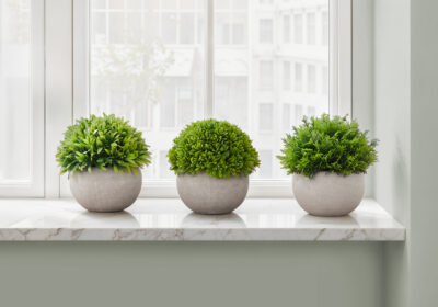 ARTIFICIAL PLANT - 3PCS / 5"H GRASS IN A 3" GREY POT